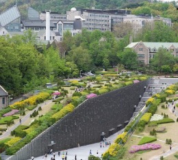 韓國遊 留學專區 林氏國際醫學教育顧問中心 Lin S International Consultants Corp 林氏国際医学留学株式会社 림스국제교육그룹